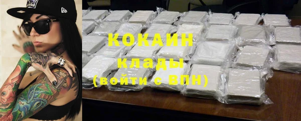 шишки Майский