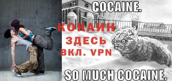 дживик Мегион