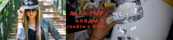 шишки Майский