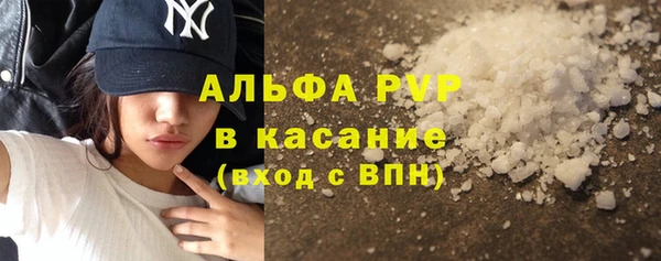 шишки Майский