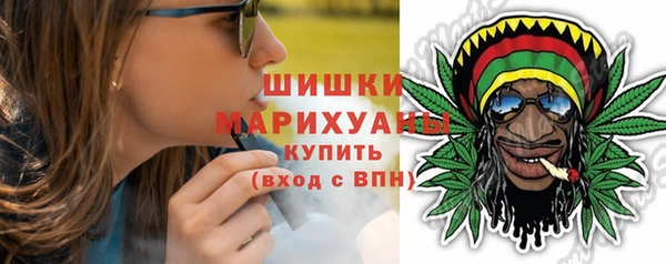шишки Майский
