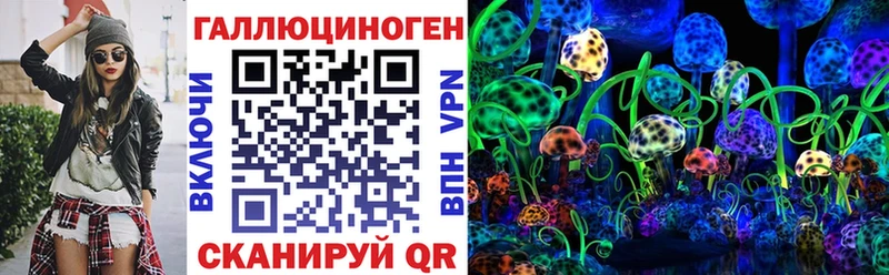 Галлюциногенные грибы Psilocybe  Мончегорск 
