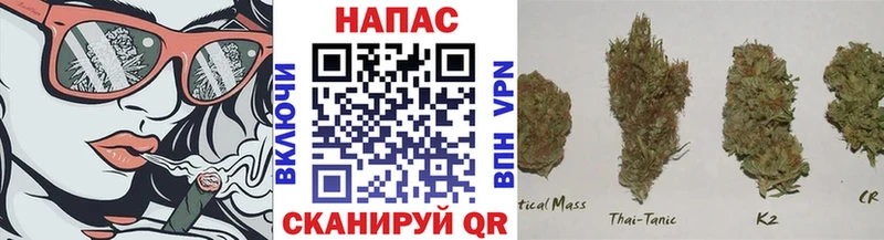 Бошки Шишки сатива где найти Мончегорск